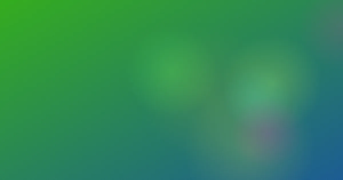 花京院是什么？一篇讲清
